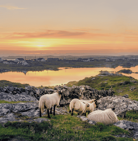 ireland picture landscape