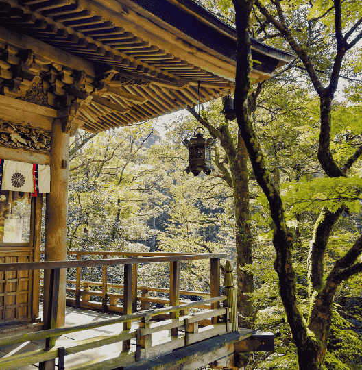 Japan lanscape nature