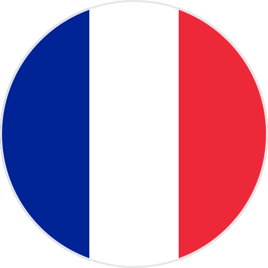 france flag round