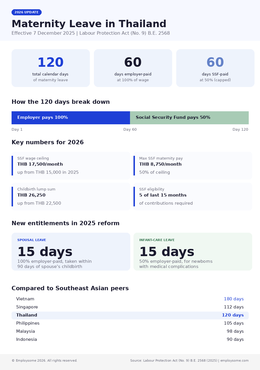 maternity leave overview 2026 ruley